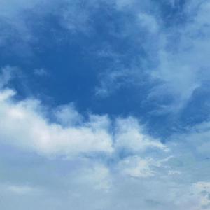 王秋儿蕾丝三角裤跳钢管舞
